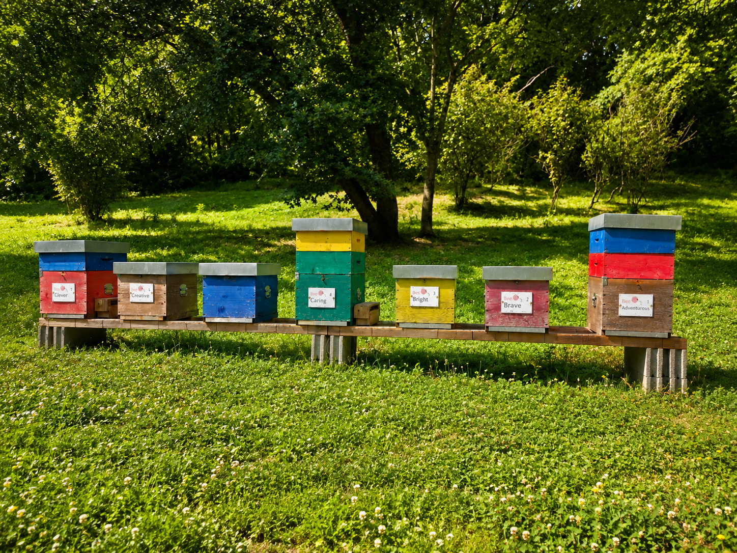 Named BeePatron hives arranged beneath trees at Le Gusciane.
